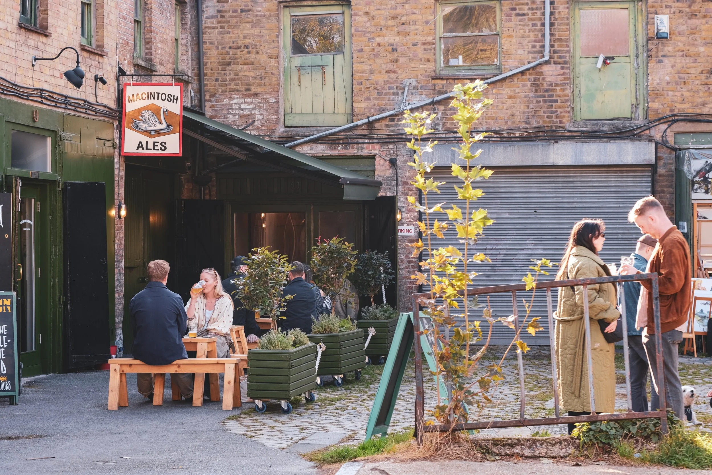 What's Worth Keeping — Macintosh Ales in Stoke Newington, London
